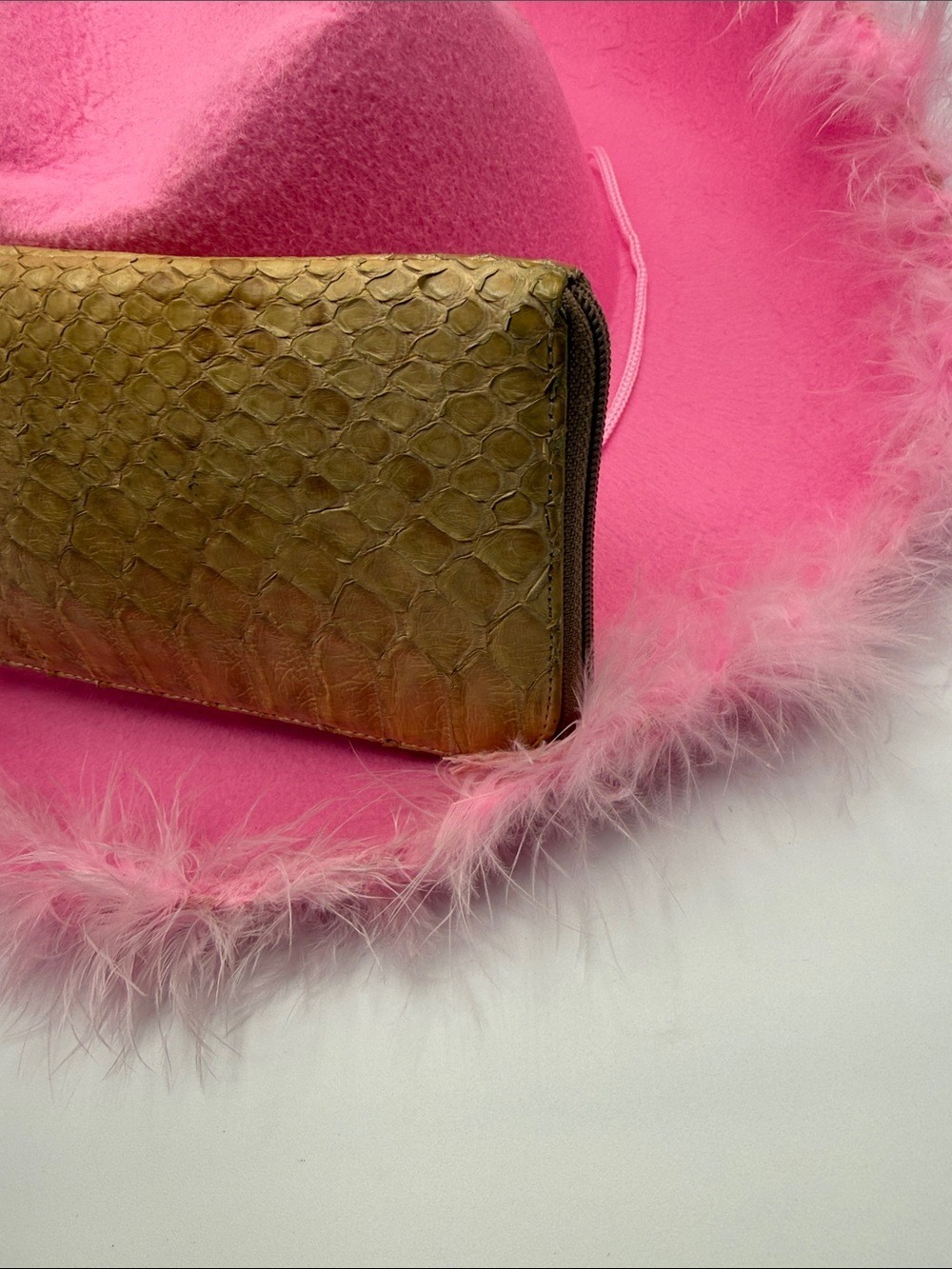 ATAO Gold Leaf Python - Picture 9 of 16